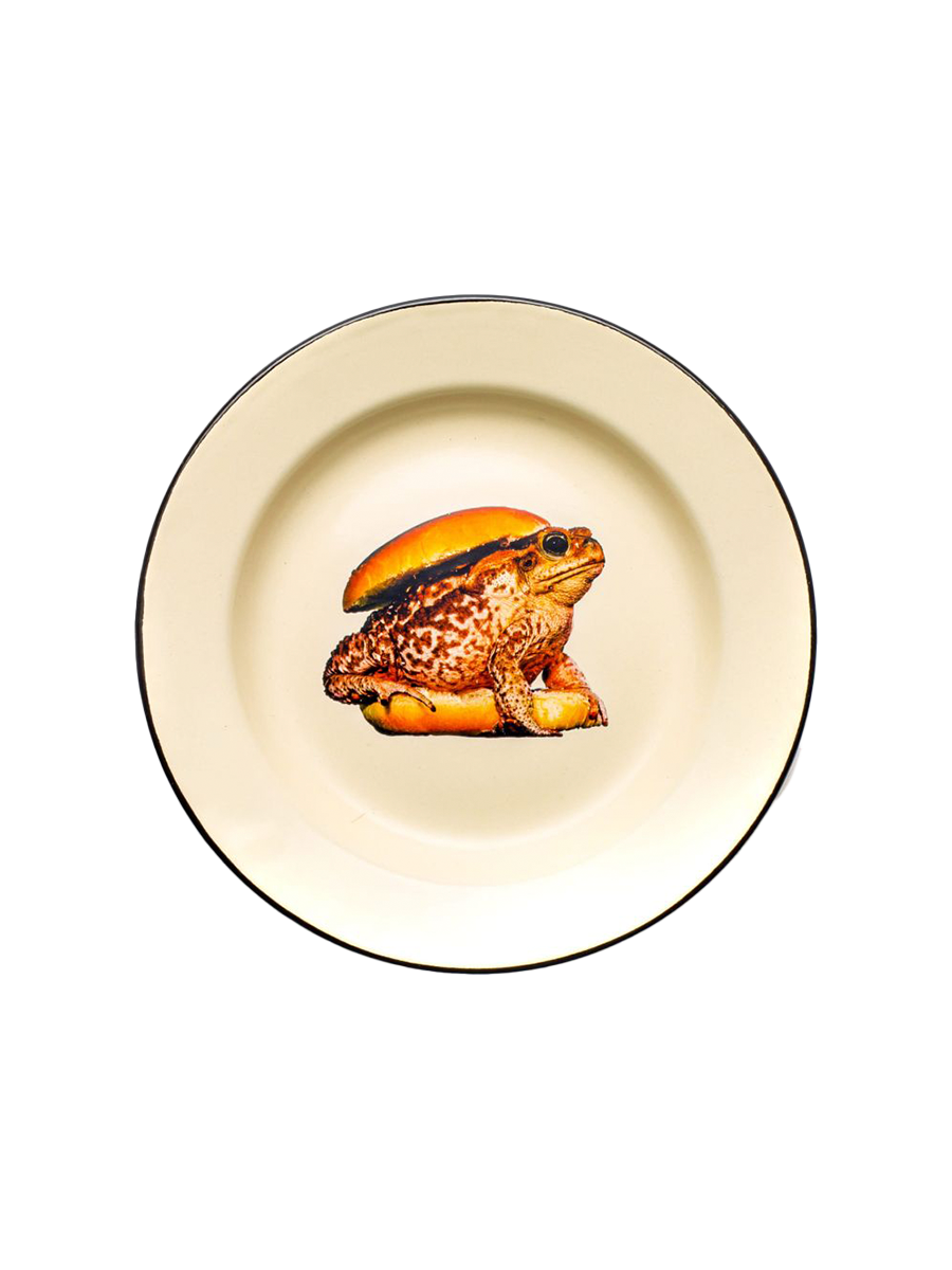 Seletti Enamel Dinner Plate Toad